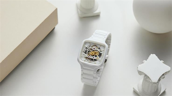 雷达腕表表壳有划痕处理技巧大全（图）